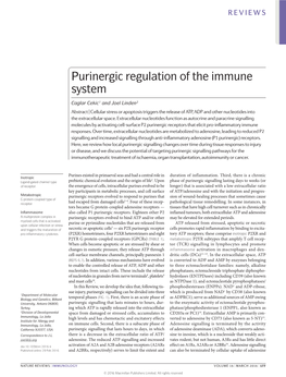 Purinergic Regulation of the Immune System