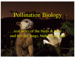 Pollination Biology