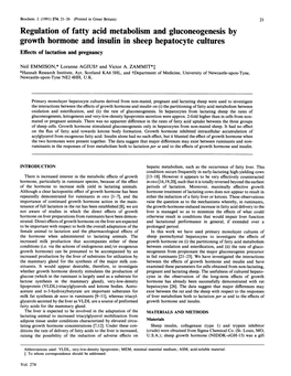 Regulation of Fatty Acid Metabolism and Gluconeogenesis by Growth Hormone and Insulin in Sheep Hepatocyte Cultures