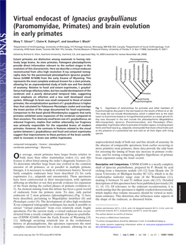 Virtual Endocast of Ignacius Graybullianus (Paromomyidae, Primates) and Brain Evolution in Early Primates