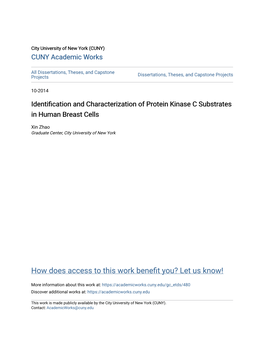 Identification and Characterization of Protein Kinase C Substrates in Human Breast Cells