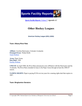 Other Hockey Leagues