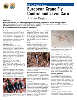 European Crane Fly Control and Lawn Care