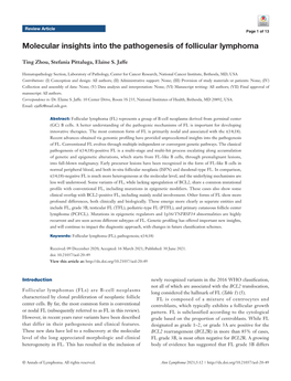 Molecular Insights Into the Pathogenesis of Follicular Lymphoma