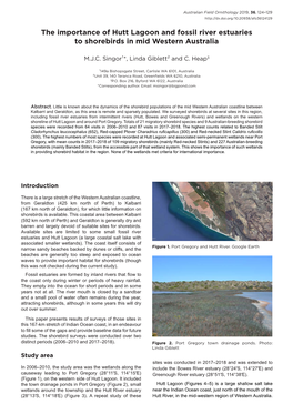 The Importance of Hutt Lagoon and Fossil River Estuaries to Shorebirds in Mid Western Australia