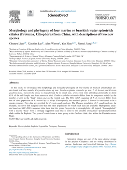 Morphology and Phylogeny of Four Marine Or Brackish Water Spirotrich Ciliates (Protozoa, Ciliophora) from China, with Descriptio