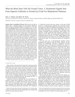 What the Brain Stem Tells the Frontal Cortex. I. Oculomotor Signals Sent from Superior Colliculus to Frontal Eye Field Via Mediodorsal Thalamus