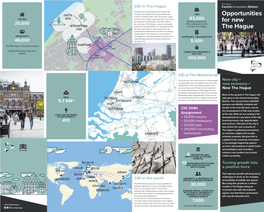 Opportunities for New the Hague