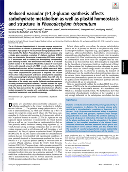 Reduced Vacuolar Β-1,3-Glucan Synthesis Affects Carbohydrate Metabolism As Well As Plastid Homeostasis and Structure in Phaeodactylum Tricornutum