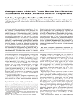 Internexin Causes Abnormal Neurofilamentous Accumulations