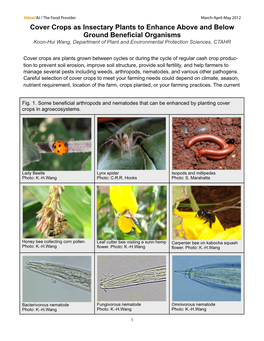 Cover Crops As Insectary Plants to Enhance Above and Below Ground Beneficial Organisms Koon-Hui Wang, Department of Plant and Environmental Protection Sciences, CTAHR