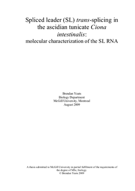 Ciona Intestinalis: Molecular Characterization of the SL RNA