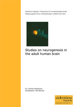 Studies on Neurogenesis in the Adult Human Brain