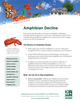 Amphibian Decline