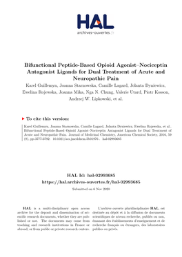 Bifunctional Peptide-Based Opioid Agonist–Nociceptin Antagonist