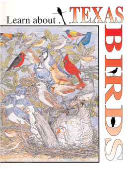 Learn About Texas Birds Activity Book