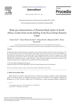 Shale Gas Characteristics of Permian Black Shales in South Africa: Results from Recent Drilling in the Ecca Group (Eastern Cape)