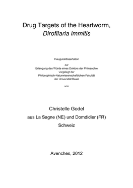 Drug Targets of the Heartworm, Dirofilaria Immitis