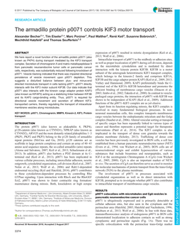 The Armadillo Protein P0071 Controls KIF3 Motor Transport