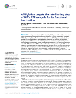 Ampylation Targets the Rate-Limiting Step of Bip's Atpase Cycle for Its