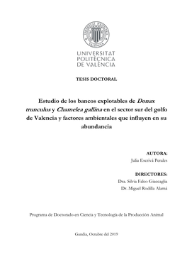 Estudio De Los Bancos Explotables De Donax Trunculus Y Chamelea Gallina En El Sector Sur Del Golfo De Valencia Y Factores Ambientales Que Influyen En Su Abundancia