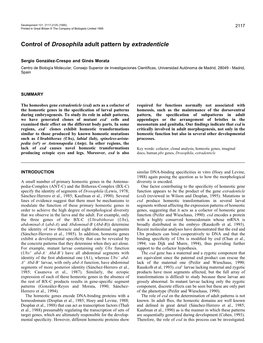 Control of Drosophila Adult Pattern by Extradenticle