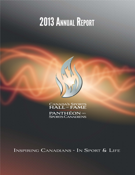 2013 Annual Report