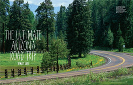 U.S. Route 191 Curves Into the Pines Near Hannagan Meadow in Eastern Arizona’S White Mountains