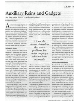 Auxiliary Reins and Gadgets Are They Useful Devices Or Evil Contraptions?