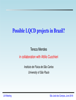 Possible LQCD Projects in Brazil?