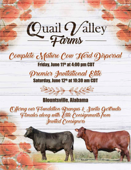 Quail Valley Farms Complete Mature Cow Herd Dispersal and Premier