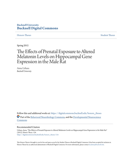 The Effects of Prenatal Exposure to Altered Melatonin Levels on Hippocampal Gene Expression in the Male Rat