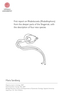 First Report on Rhabdocoela (Rhabditophora) from the Deeper Parts of the Skagerrak, with the Description of Four New Species