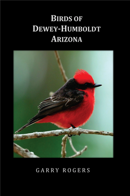 Birds of Dewey-Humboldt Arizona