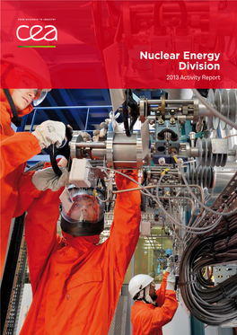 CEA Nuclear Energy Division Report 2013