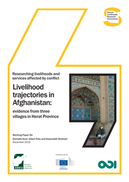 Livelihood Trajectories in Afghanistan: Evidence from Three Villages in Herat Province