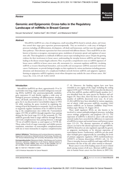 Genomic and Epigenomic Cross-Talks in the Regulatory Landscape of Mirnas in Breast Cancer