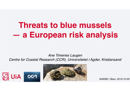 Threats to Blue Mussels — a European Risk Analysis