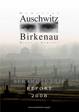 Sprawozdanie Report 2008