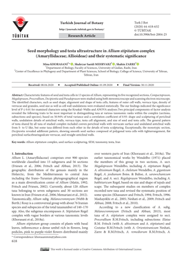 Seed Morphology and Testa Ultrastructure in Allium Stipitatum Complex (Amaryllidaceae; Allioideae) and Their Systematic Significance