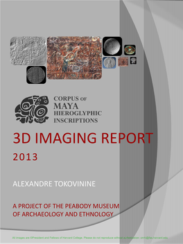 3D Imaging Report 2013
