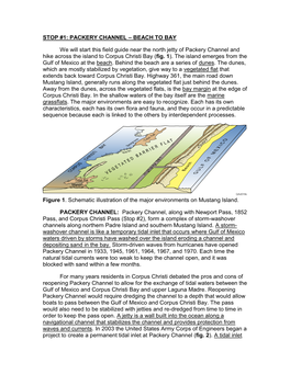 Mustang Island Is a 40 Km- (~25 Mile) Long Barrier Island Located Between Corpus Christi and the Gulf of Mexico, South of St