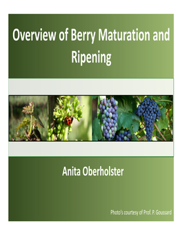 Overview of Berry Maturation and Ripening