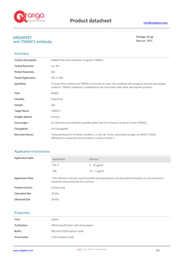 Anti-TM4SF1 Antibody (ARG40597)