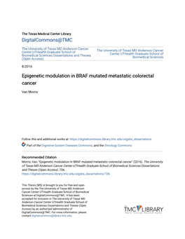 Epigenetic Modulation in BRAF Mutated Metastatic Colorectal Cancer