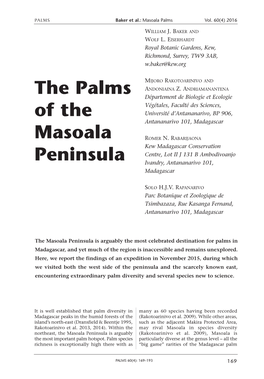 The Palms of the Masoala Peninsula