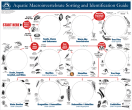 Aquatic Macroinvertebrate Sorting and Identification Guide