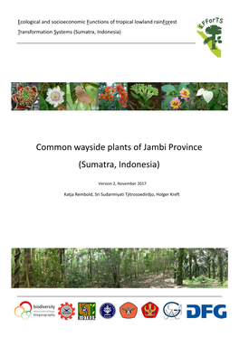 Common Wayside Plants of Jambi Province (Sumatra, Indonesia)
