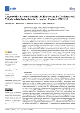 Amyotrophic Lateral Sclerosis (ALS): Stressed by Dysfunctional Mitochondria-Endoplasmic Reticulum Contacts (Mercs)