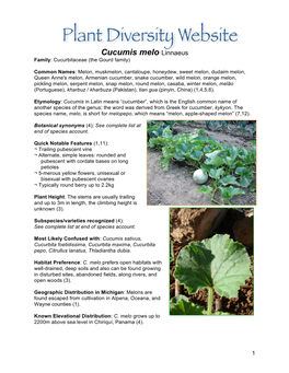 Cucumis Melo Linnaeus Family: Cucurbitaceae (The Gourd Family)